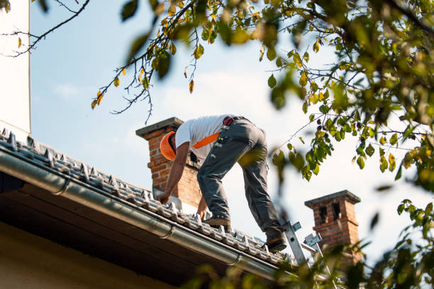 Best Roof Gutter Cleaning  in White Plains, NY